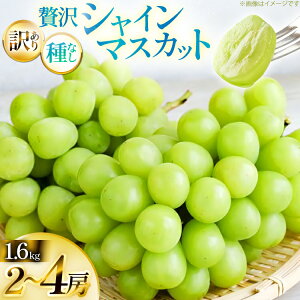 yӂ邳Ɣ[Łz yԌ蔭z VC}XJbg 󂠂 ґ{[ Zbg 2`4[ 1.6kg [Yamagent[cK[fRg R`  tk06ayt380005] ƒp Ԃǂ uhE  