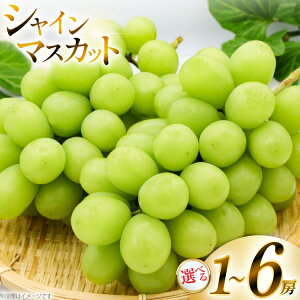 yӂ邳Ɣ[Łz yԌ蔭z VC}XJbg Iׂe 650g`3kg [R`  킽ʎ] Ԃǂ uhE  t[c ʕ  Â