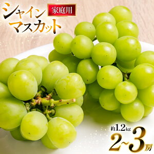 yӂ邳Ɣ[Łz yԌ蔭z ƒp 󂠂 VC}XJbg 2`3[ 1.2kg [킽ʎ R`  tk06ayt400007] Ԃǂ uhE  t[c ʕ  Â VC }