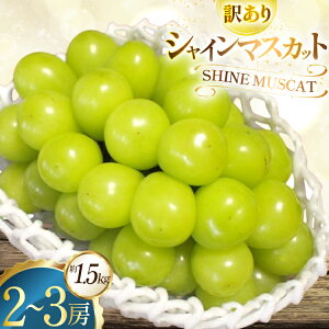 �y�ӂ邳�Ɣ[�Łz�y���Ԍ��蔭���z �󂠂� �V���C���}�X�J�b�g 2�`3�[ �� 1.5kg [���Ƃ��_�� �R�`�� ������ tk06bcz270001] �t���[�c �ʕ� �������� �Ԃǂ� �u�h�E ���� 1.5�L�� �Â� �ʎ� �f�U�[�g 