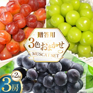 �y�ӂ邳�Ɣ[�Łz �����p �Ԃǂ� 3�F ���܂��� ��2kg 3�[ [���Ƃ��_�� �R�`�� ������ tk06bcz270002] �t���[�c �ʕ� �������� �u�h�E ���� 2�L�� ���� �Â� �ʎ� �f�U�[�g �_�ƒ��� �Y�n���� ���ʌ�