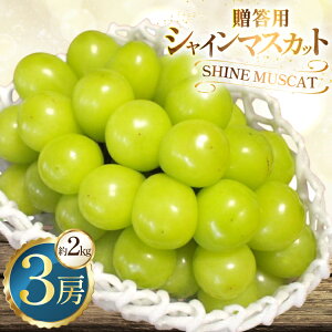 �y�ӂ邳�Ɣ[�Łz �����p �V���C���}�X�J�b�g 3�[ ��2kg [���Ƃ��_�� �R�`�� ������ tk06bcz270004] �t���[�c �ʕ� �������� �Ԃǂ� �u�h�E ���� 2�L�� �Â� �ʎ� �f�U�[�g �}�X�J�b�g �_�ƒ��� �Y