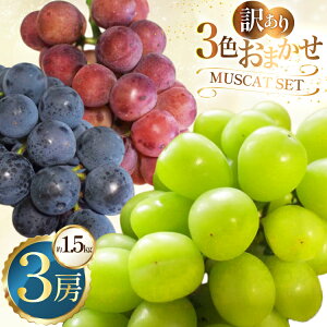 �y�ӂ邳�Ɣ[�Łz �󂠂� 3�F ���܂��� �Ԃǂ� 3�[ ��1.5kg [���Ƃ��_�� �R�`�� ������ tk06bcz270005] �t���[�c �ʕ� �������� �u�h�E ���� 1.5�L�� ���� �Â� �ʎ� �f�U�[�g �_�ƒ��� �Y�n���� ����