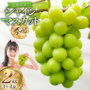 yӂ邳Ɣ[Łz yԌ蔭zy2026Nz VC}XJbg Gi 2kg (3`4[) [V_ R`  tk06bgt070000] Ԃǂ uhE  }XJbg t[c ʕ  Yn