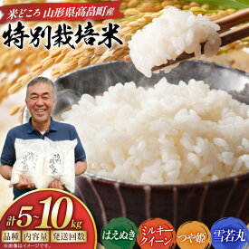 【ふるさと納税】 米 令和8年産 選べる定期便・収穫年・品種・内容量 5kg 10kg 3回 6回 9回 12回 はえぬき つや姫 ミルキークイーン 雪若丸 定期 お米 こめ 白米 精米 ごはん 5キロ 10キロ [渡部ファーム 山形県 高畠町 tk06ays810045]