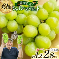 【ふるさと納税】 【期間限定発送】 シャインマスカット 秀品 【選べる内容...