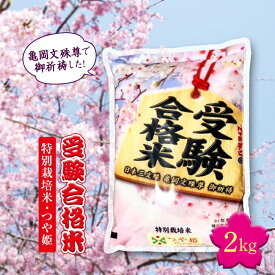 【ふるさと納税】《先行予約》令和4年度産 日本三文殊 亀岡文殊 受験合格米（特別栽培米 つや姫） F20B-099