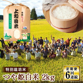 【ふるさと納税】 【定期便】山形県 高畠町産 特別栽培米 つや姫 白米 2kg×6回 お米 ブランド米 米 ごはん ご飯 F20B-220