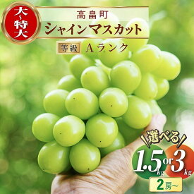 【ふるさと納税】シャインマスカット 総合ランキング上位入賞 先行予約 2024年 箱詰 1.5kg 2~3房 3kg 4~6房 | ふるさと納税 ぶどう マスカット 高級 ブドウ 葡萄 果物 フルーツ シャイン 農家直送 山形県 高畠町 数量限定 ふるさと 人気 ランキング 送料無料 F20B-297