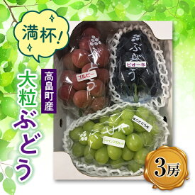 【ふるさと納税】2024年 山形県 高畠町産 大粒ぶどう満杯詰め おまかせ 3種3房詰合せ(シャインマスカット1房・大粒ぶどう2種2房) 2024年9月中旬から順次発送 ぶどう ブドウ 葡萄 マスカット 大粒 種なし 高級 くだもの 果物 フルーツ 秋果実 産地直送 数量限定 F20B-312