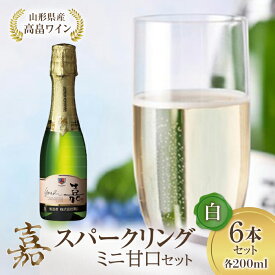 【ふるさと納税】ミニボトル 嘉スパークリングワイン 甘口 200ml×6本セット F20B-688