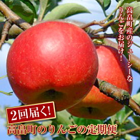 【ふるさと納税】《先行予約》2回届く！山形県高畠町のりんごの定期便（中生種・晩生種） F20B-142