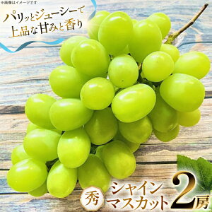 yӂ邳Ɣ[Łz yԌ蔭z VC}XJbg G 2[  1.2kg [O̗ R`  tk06ays960002] t[c ʕ  Ԃǂ uhE  1.2L Â
