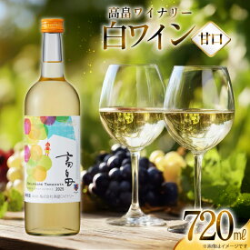 【ふるさと納税】 白 ワイン 高畠ワイナリー 甘口 ワイン 720ml 1本 [高畠ワイナリー 山形県 高畠町 tk06ays730115] 白ワイン デラウェア お酒 酒