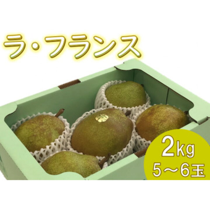 ふるさと納税 山形県産ラ フランス缶詰