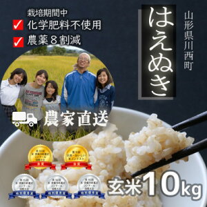 �y�ӂ邳�Ɣ[�Łz�ߘa7�N�Y �R���N�[����ܔ_�ƒ��� �R�`���Y�͂��ʂ�10kg ���āy�Y�c�_�� �ނ��ѕāz�y1522445�z