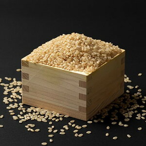 yӂ邳Ɣ[Łzyߘa7NYz͔|Ԓ_sgp P 10kgy1683657z