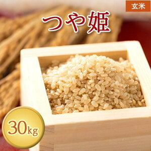 yӂ邳Ɣ[Łzyߘa7NYzyʍ͔|āz͔|Ԓ _򉻊w엿5@P@30kgy1686968z