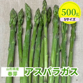 【ふるさと納税】【先行予約】令和9年 山形県川西町産雪国春アスパラガス Sサイズ　500g【配送不可地域：離島・北海道・沖縄県・信越、北陸・近畿・中国・四国・九州】【1764672】