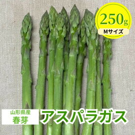 【ふるさと納税】【先行予約】令和9年 山形県川西町産 雪国春アスパラガス　Mサイズ　250g【配送不可地域：離島・北海道・沖縄県・信越、北陸・近畿・中国・四国・九州】【1764675】