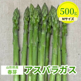 【ふるさと納税】【先行予約】令和9年 山形県川西町産 雪国春アスパラガス Mサイズ　500g【配送不可地域：離島・北海道・沖縄県・信越、北陸・近畿・中国・四国・九州】【1764682】