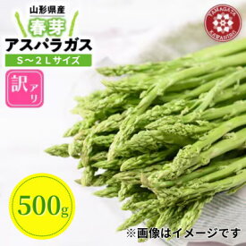 【ふるさと納税】【先行予約】令和9年 山形県川西町産 雪国春アスパラガス 訳あり(不揃い) S～2Lサイズ　500g【配送不可地域：離島・北海道・沖縄県・信越、北陸・近畿・中国・四国・九州】【1764700】