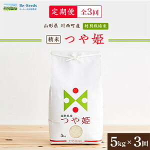 yӂ邳Ɣ[ŁzyցzR`Yʍ͔|āuPv5kg(5kg×1)S3y4076718z