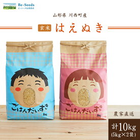 【ふるさと納税】令和7年産　山形県産　はえぬき　玄米　10kg_ 米 こめ 玄米 はえぬき ブランド米 産地直送 人気 おすすめ 贈答 ギフト プレゼント 送料無料 お取り寄せ お米 ごはん 山形県 川西町 【1144538】