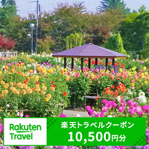 �y�ӂ邳�Ɣ[�Łz�R�`���쐼���̑Ώێ{�݂Ŏg����y�V�g���x���N�[�|�� ��t�z35,000�~�i�N�[�|���z10,500�~�j