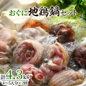 yӂ邳Ɣ[Łzɒn{Zbg(4`5l×2)yzsnFzy1109949z