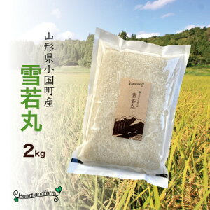 yӂ邳Ɣ[Łz  2kg ߘa7NY R`Yy1559584z