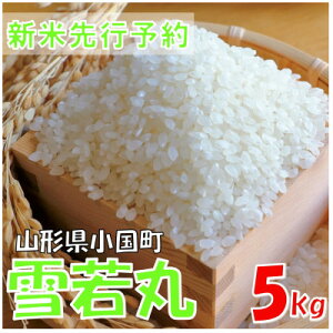 yӂ邳Ɣ[Łzyߘa7NY s\z  5kg(5kg×1)@ɂ̂߁y1660264z