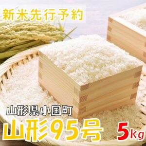 yӂ邳Ɣ[Łzyߘa7NY s\zR`95  5kg(5kg×1)@ɂ̂߁y1660287z