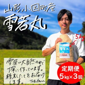 �y�ӂ邳�Ɣ[�Łz�y��������ցz�R�`���������Y�@����(����)5kg�@�i�L�j�����J���S3��y4079123�z