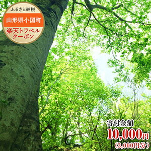 yӂ邳Ɣ[ŁzR`̑Ώێ{݂ŎgyVgxN[|tz10,000~iN[|z3,000~j