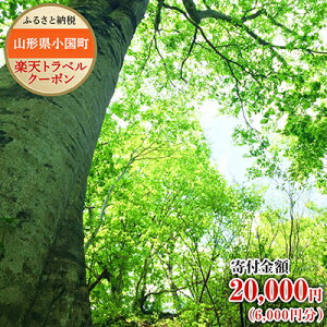 yӂ邳Ɣ[ŁzR`̑Ώێ{݂ŎgyVgxN[|tz20,000~iN[|z6,000~j