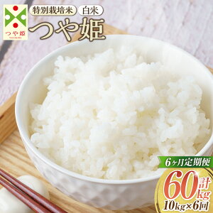 yӂ邳Ɣ[Łzy6ցzyߘa7NYVāzqār P 10kg×6 v60kg iʍ͔|āj R`Y 炽̂ y2025N11{Jn\z