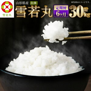 yӂ邳Ɣ[Łzy6ցzyߘa7NYVāzqār  5kg×6 v30kg R`Y (5kg܏)  y2025N11{Jn\z yVX[p[SALE 9J
