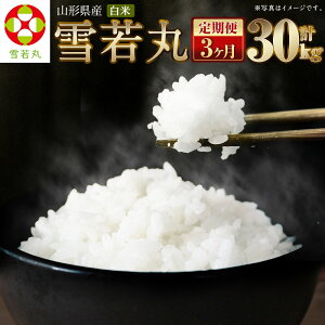 yӂ邳Ɣ[Łzy3ցzyߘa7NYVāzqār  10kg×3 v30kg R`Y  y2025N11{Jn\z yVX[p[SALE 9J