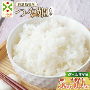 yӂ邳Ɣ[ŁzyIׂeʁzyߘa7NYVāzqār P v5kg`30kgiʍ͔|āj R`Y 炽̂   R   ͂   Y  uh