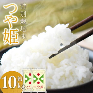 yӂ邳Ɣ[Łz ʍ͔|āqߘa7NYr P 10kgi5kg×2܃Zbgj  10L  uh 1  R` 钬  y2026N3{܂Ŕz