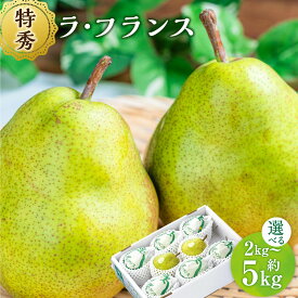 【ふるさと納税】 山形おきたま産 ラ・フランス （特秀） ＜選べる容量＞【5玉～6玉（約2kg） 【化粧箱入り】 ／8玉～11玉（約3kg） 【化粧箱入り】 ／14玉～18玉（約5kg）】 山形県産 フルーツ 果物 【2026年11月上旬～12月上旬発送予定】