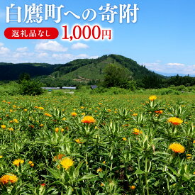 【ふるさと納税】 白鷹町への寄附（返礼品はありません） 1,000円 山形県 白鷹町 返礼品なし