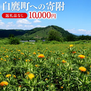 yӂ邳Ɣ[Łz_r[Ly[{^ 钬ւ̊񕍁iԗi͂܂j 10,000~ R` 钬 ԗiȂ yVX[p[SALE 9J
