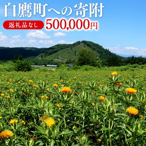 yӂ邳Ɣ[Łz_r[Ly[{^ 钬ւ̊񕍁iԗi͂܂j 500,000~ R` 钬 ԗiȂ yVX[p[SALE 9J