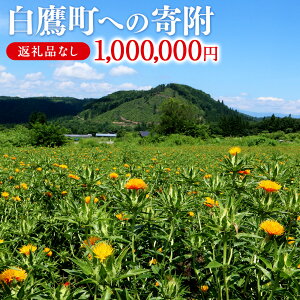 yӂ邳Ɣ[Łz_r[Ly[{^ 钬ւ̊񕍁iԗi͂܂j 1,000,000~ R` 钬 ԗiȂ yVX[p[SALE 9J