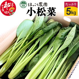 【ふるさと納税】 山形県白鷹町産 とれたて小松菜（5kg）個数限定 国産 旬 野菜 やさい こまつな