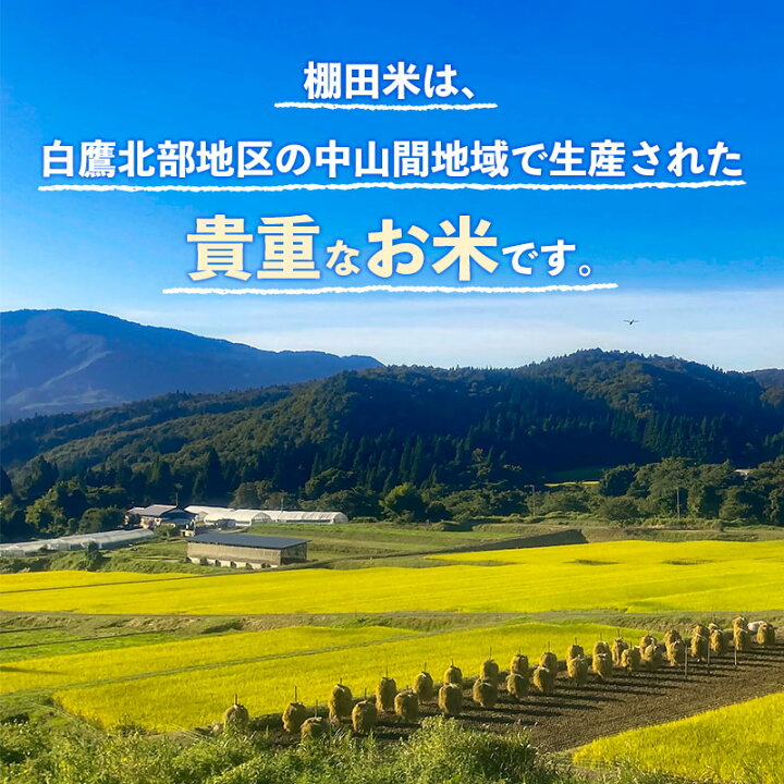 楽天市場】【ふるさと納税】 【白米】山形県産 棚田米 白鷹ほまれ 