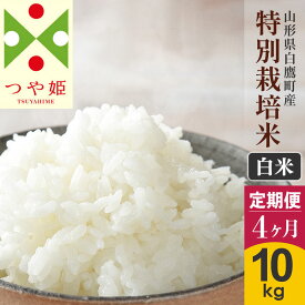 【ふるさと納税】《定期便4ヶ月》【白米】つや姫 10kg×4回（特別栽培米）令和5年産 山形県産 しらたかのお米