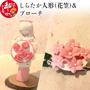 yӂ邳Ɣ[Łz_r[Ly[{^ 炽l`iԊ}ju[` yVX[p[SALE 9J